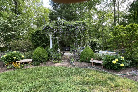 Custom Landscapes