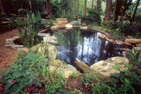 Water Features