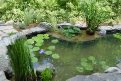 Water-Features-Northern-Virginia5